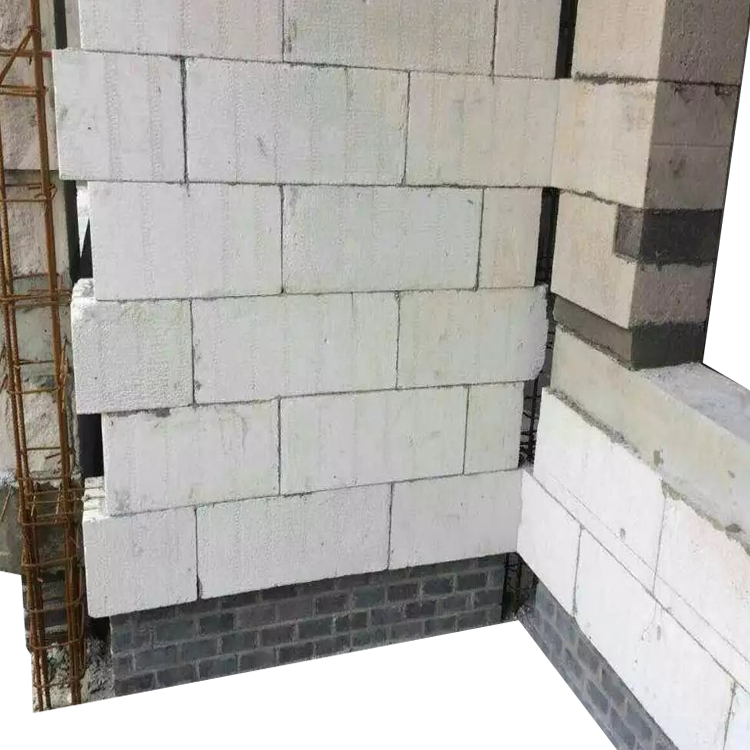 轻质隔墙板粉煤灰轻质砖 砂加气的质量问题及控制措施